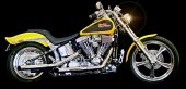 1999 Harley-Davidson Softail Standard photo